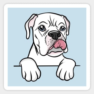 White Blue Eyed Boxer Magnet